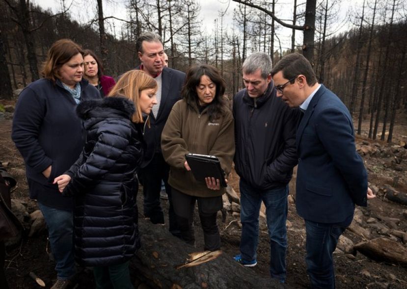Clavijo comprueba la recuperación de las áreas por el incendio de Gran Canaria