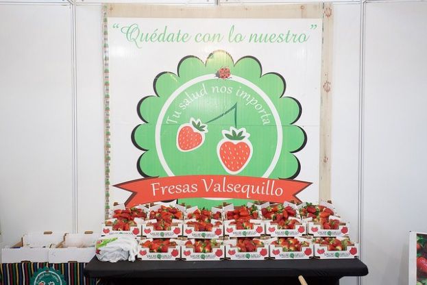 Gran Canaria Me Gusta invita a saborear lo mejor de los municipios sin moverse de Infecar en su &uacute;ltima jornada