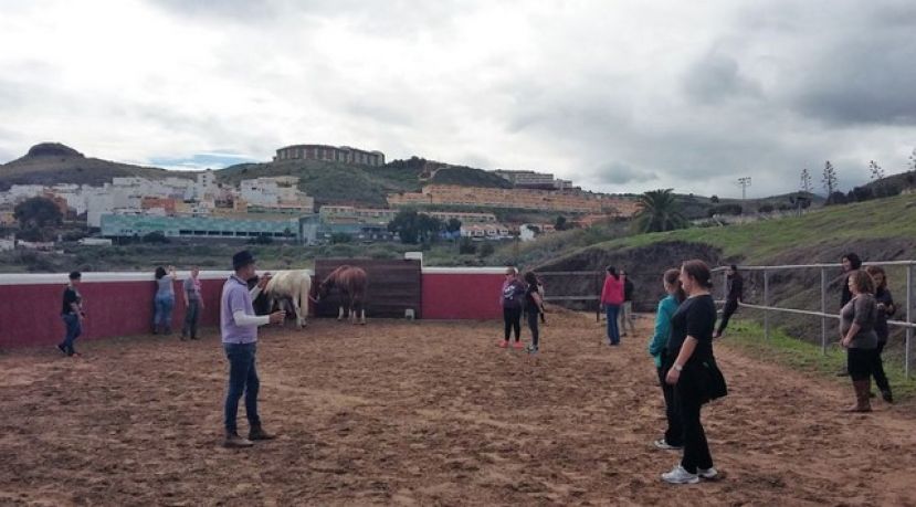 Gu&iacute;a: Taller de Crecimiento Personal Asistido con Caballos