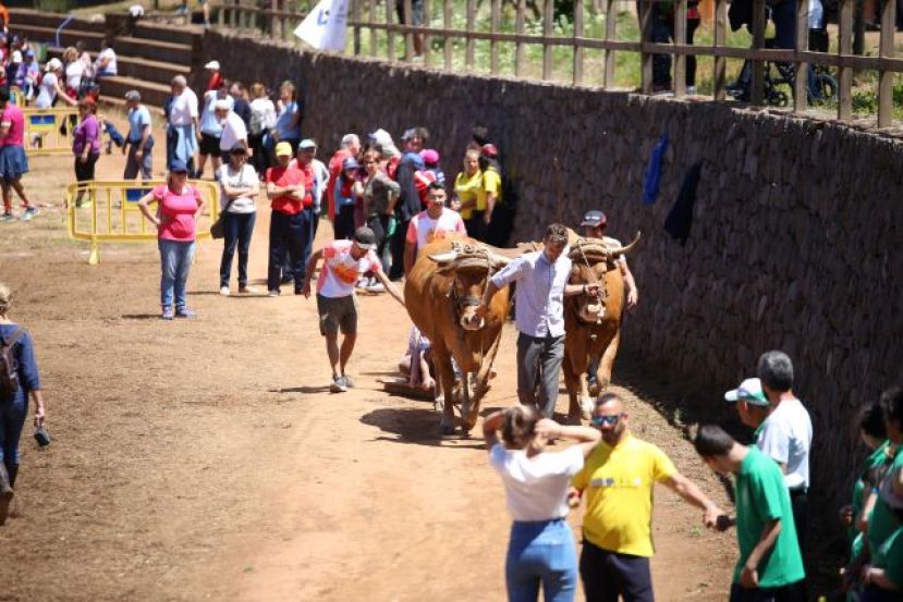 Valleseco: XII Encuentro de Equinoterapia, Juegos y Deportes Autóctonos