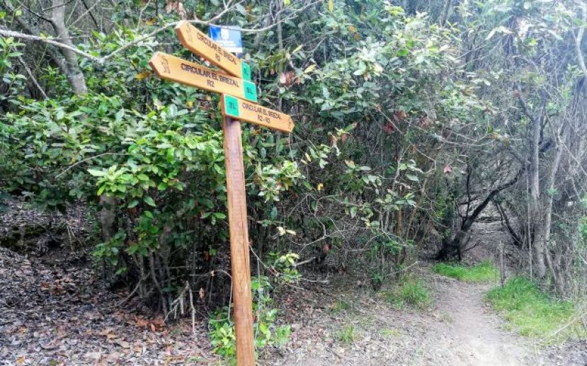 Gu&iacute;a: Tres rutas circulares nuevas para descubrir la Reserva Natural de El Brezal