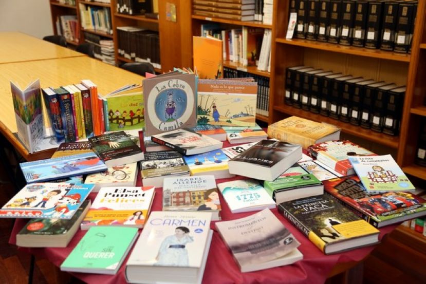 M&aacute;s de 300 libros se unen a los fondos de la Biblioteca de Valleseco