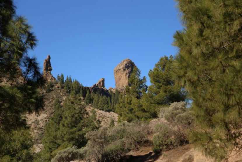 Valleseco organiza una ruta de senderismo al monumento natural del Roque Nublo