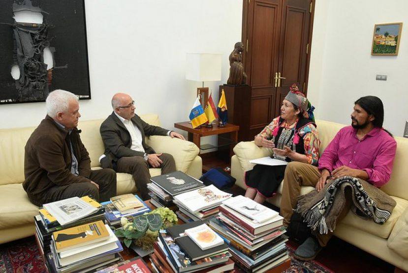 Juana Calfunao: &ldquo;La vida del pueblo mapuche est&aacute; gravemente amenazada porque sufre aberraciones tremendas&rdquo;