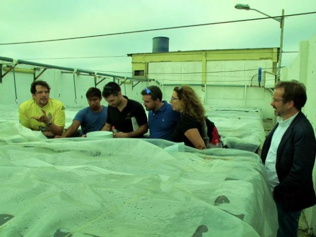 Gran Canaria participa en el Congreso Mundial de Acuicultura &lsquo;Aqua Expo&rsquo; en Ecuador