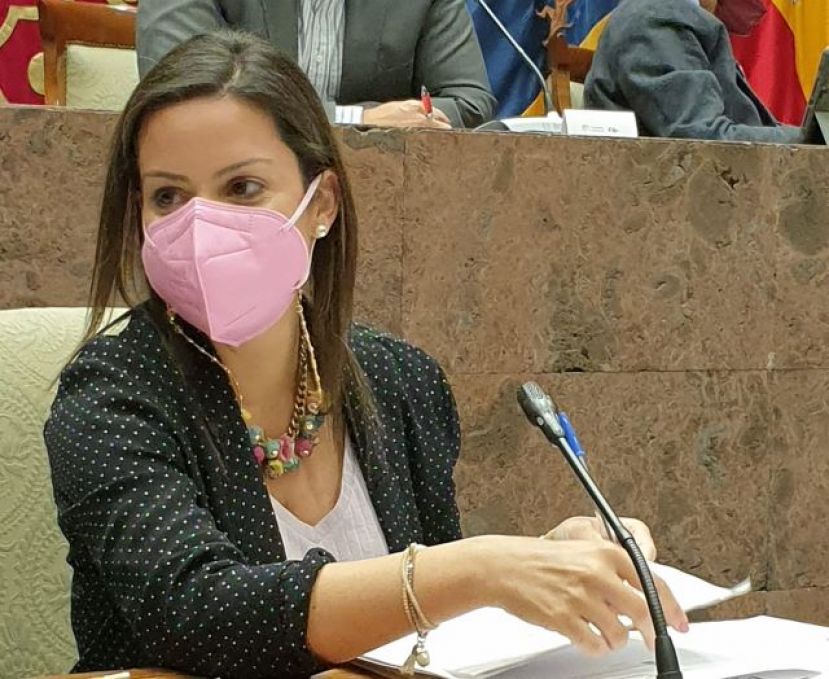 Turismo de Canarias fomentar&aacute; los viajes entre islas con 1,1 millones de euros