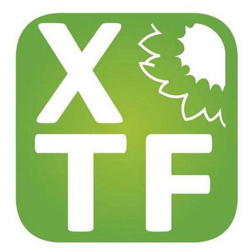 XTF- Por Tenerife rechaza la expulsión del concejal Javier Gil Pérez en Agaete