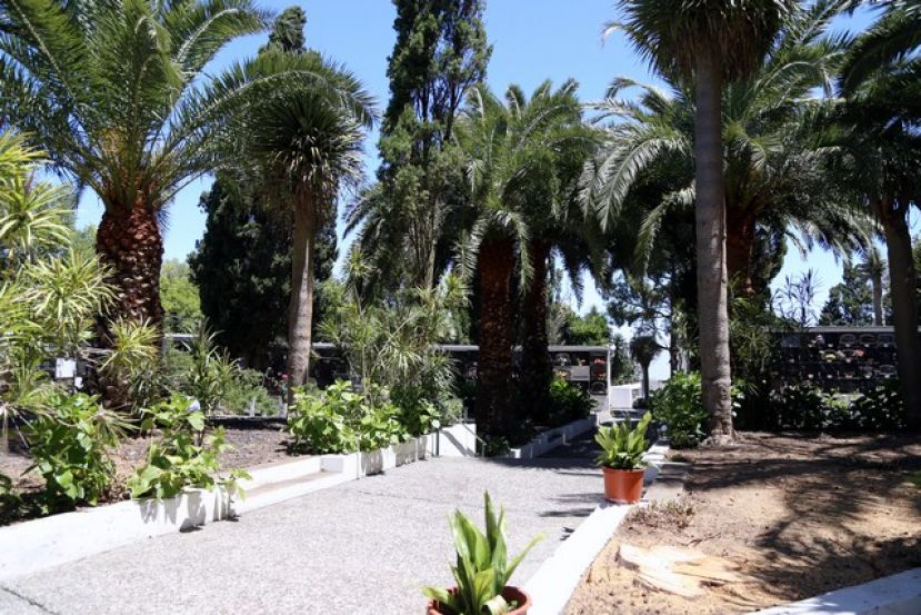 Valleseco:  Realizado un plan de mejora en el Camposanto del municipio