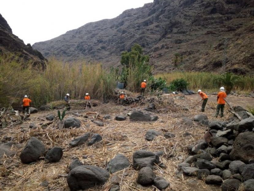 La Gomera: Retirada de residuos vegetales por mejoras medioambientales