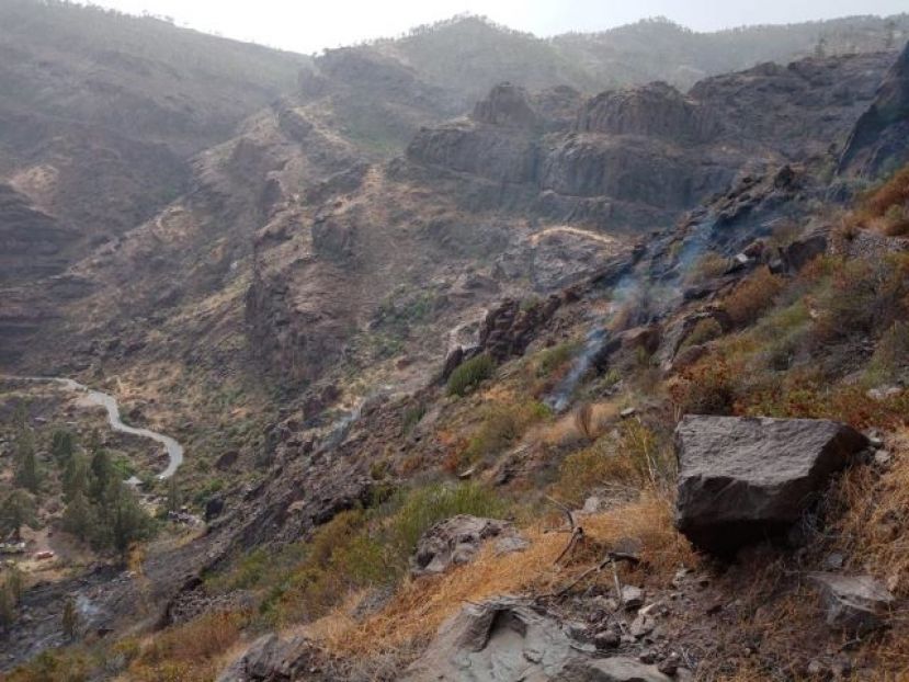 Estabilizado el incendio declarado en Mog&aacute;n