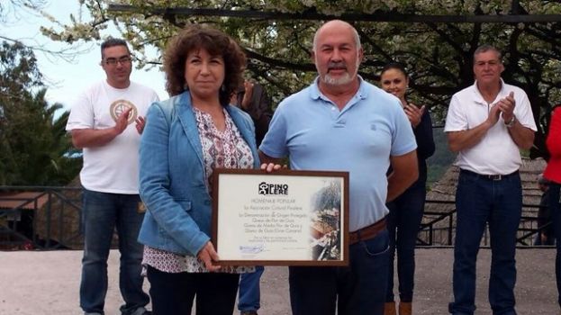 Guía: Homenaje a la Denominación de Origen Protegida en Pinorele