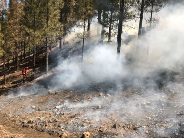 El Cabildo realiza quemas prescritas en la cumbre grancanaria cuyas columnas de humo no revisten peligrosidad