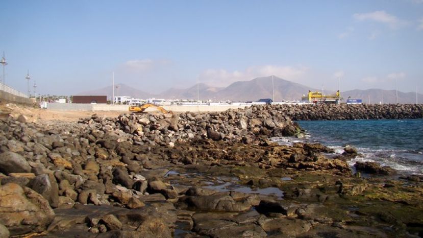 Ben Magec considera que el Gobierno de Canarias puede haber prevaricado