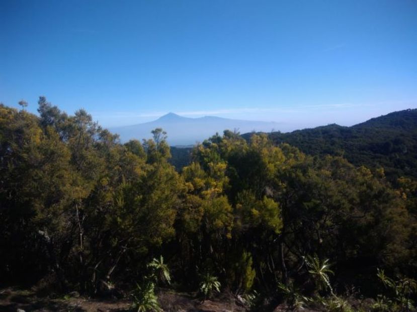 El Cabildo de La Gomera solicita precaución ante la alerta por riesgo de incendio forestal
