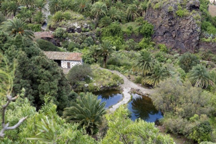 El Jardín Botánico de Gran Canaria bate récords de visitantes durante 2017