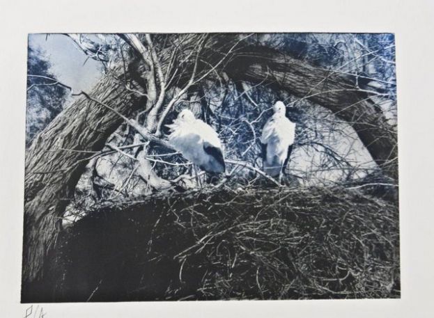 El Cabildo inaugura en G&aacute;ldar una colectiva de obra gr&aacute;fica en el marco del nuevo circuito de arte, &lsquo;Itineraria&rsquo;