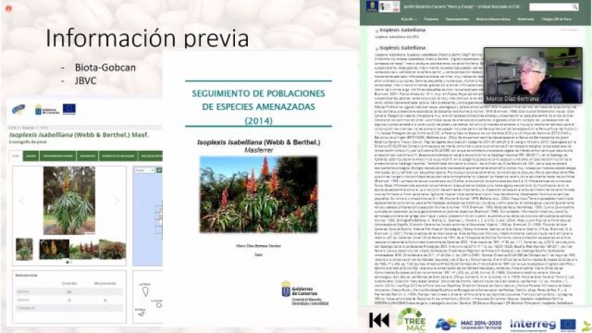 FORESTA expone la importancia de gestión y trabajo en los viveros de Canarias