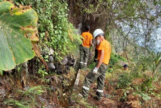 El Cabildo adec&uacute;a una decena de nacientes en diferentes puntos de La Gomera
