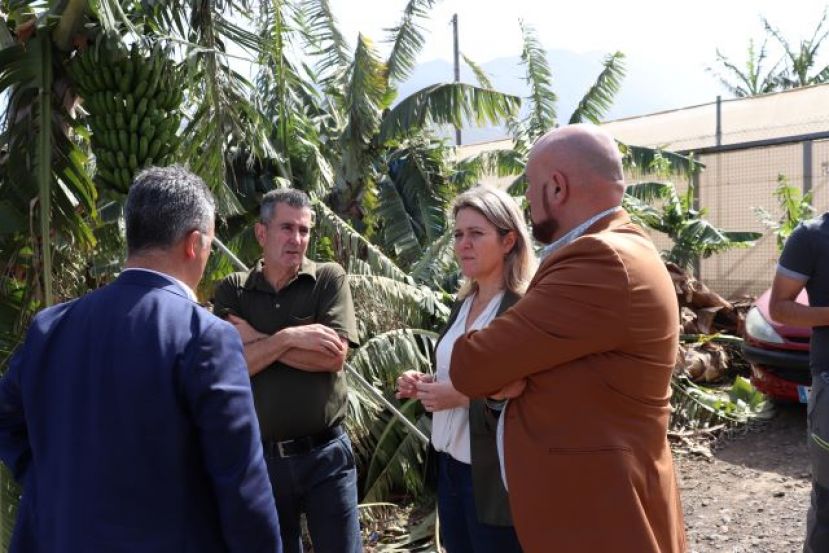 El Gobierno canario incrementa en 571.000 euros las ayudas a los agricultores