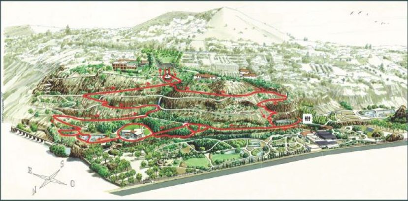 El Jardín Canario reabre mañana sus puertas con horario reducido y aforo de 200 personas