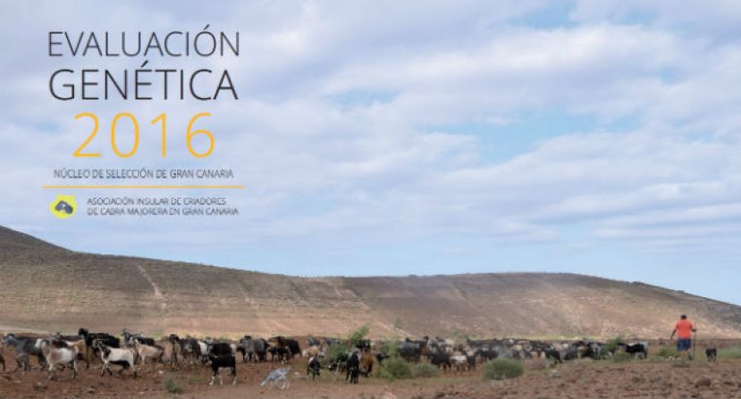 La mejora gen&eacute;tica de la cabra majorera en Gran Canaria proporcionar&aacute; m&aacute;s y mejor leche y quesos con menos trabajo