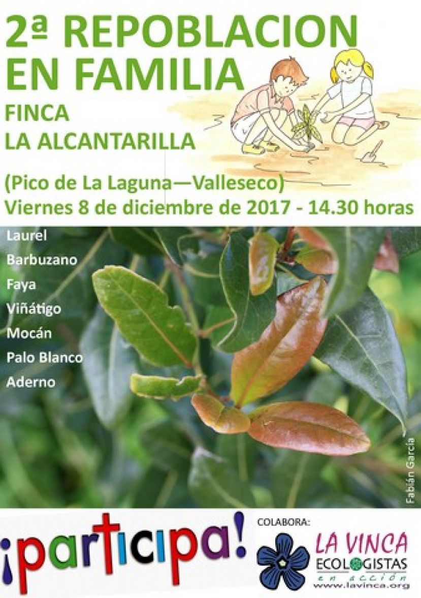 Valleseco: Repoblaci&oacute;n forestal en la Finca de La Alcantarilla el pr&oacute;ximo viernes