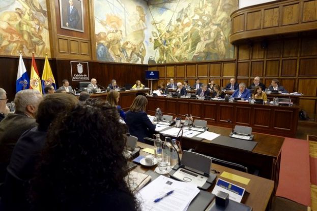 Respaldo del pleno del Cabildo a las demandas de los estibadores
