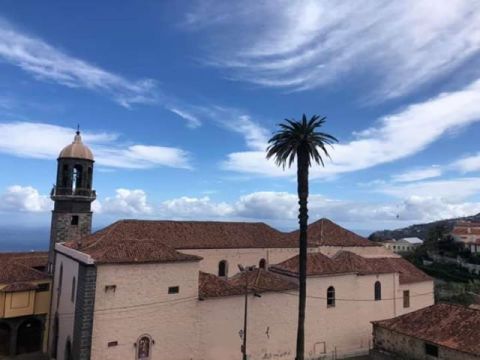 Se denuncia oficialmente la tala de la palmera de Santo Domingo en La Orotava