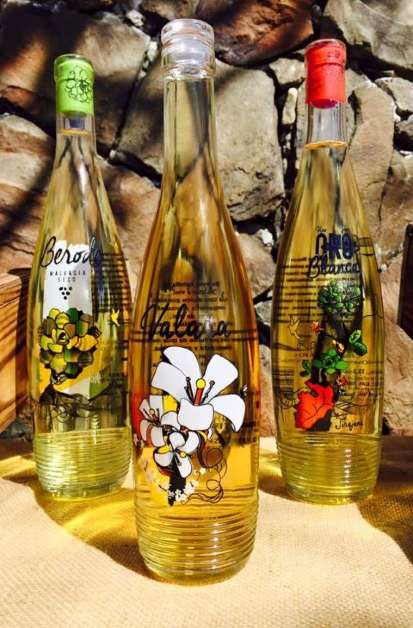 Bodegas Tunte de GC: Tres medallas en el &lsquo;International Wine Challenge&rsquo;