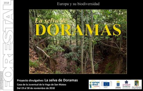 La Exposici&oacute;n Divulgativa &ldquo;La Selva de Doramas&rdquo; visita la Vega de San Mateo
