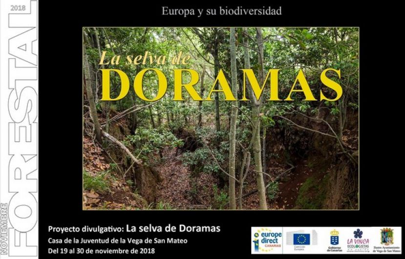La Exposici&oacute;n Divulgativa &ldquo;La Selva de Doramas&rdquo; visita la Vega de San Mateo
