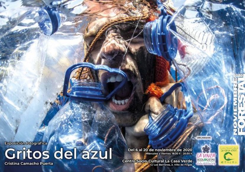 Firgas: Exposici&oacute;n &ldquo;GRITOS DEL AZUL&rdquo; de Cristina Camacho Puerta, en La Casa Verde