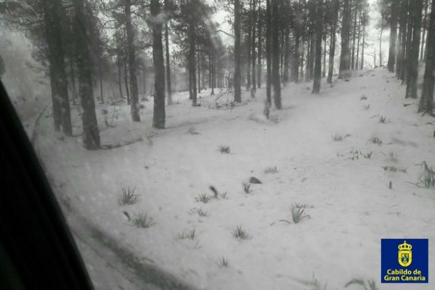 El Cabildo de Gran Canaria aprovecha la tregua del tiempo para abrir carreteras de la Cumbre hasta las 3 de la tarde