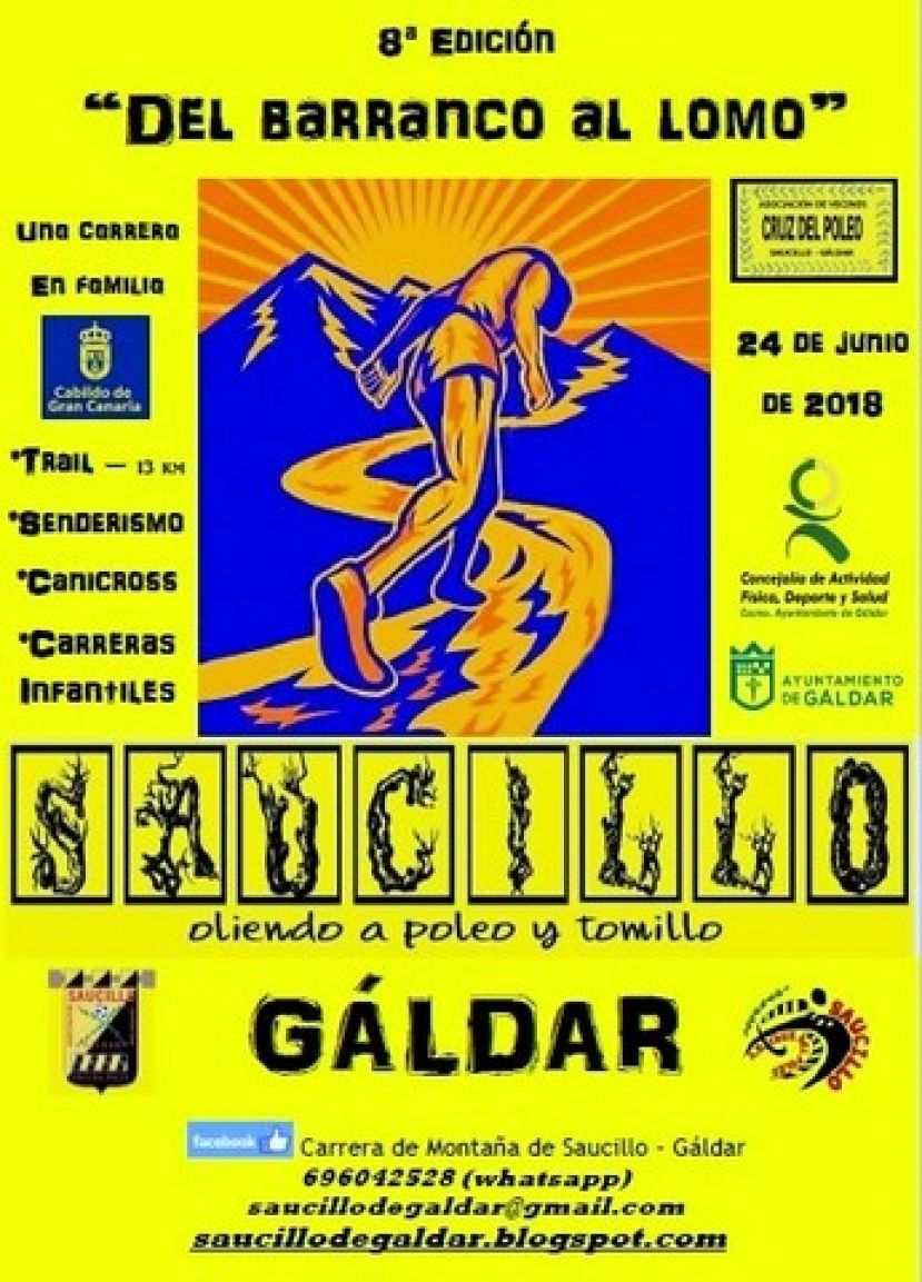 VIII Carrera de Monta&ntilde;a "Del Barranco al Lomo" de Saucillo de G&aacute;ldar