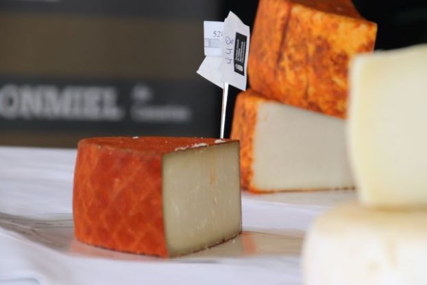 El Gobierno regional convoca el Concurso Oficial de Quesos Agrocanarias 2021