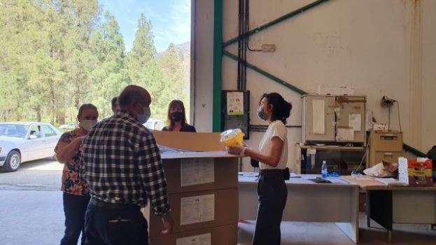 El Cabildo entrega 700 trampas para proteger 5.000 albaricoqueros de la mosca de la fruta en los altos de San Bartolomé de Tirajana