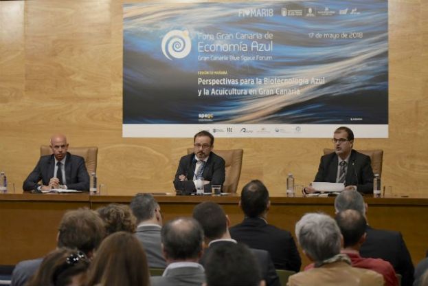 El Foro Gran Canaria de Econom&iacute;a Azul visibiliza los sectores emergentes de la econom&iacute;a del mar y su gran potencial