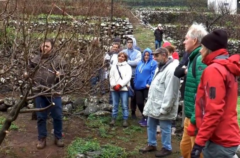 500 gomeros participan en cursos de la Agenda Formativa del sector primario