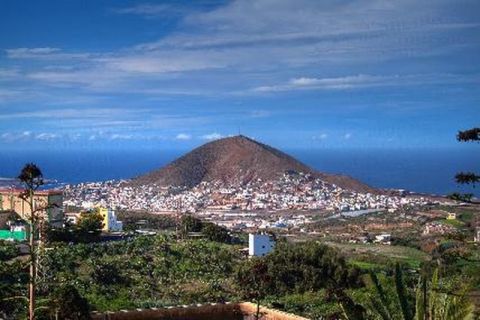 Gu&iacute;a: Presentaci&oacute;n de la exposici&oacute;n fotogr&aacute;fica &ldquo;Yo vivo en un mundo de luces"