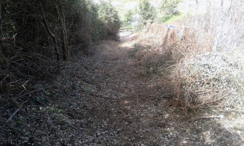 Valleseco ha desarrollado un plan de limpieza y conservación de senderos