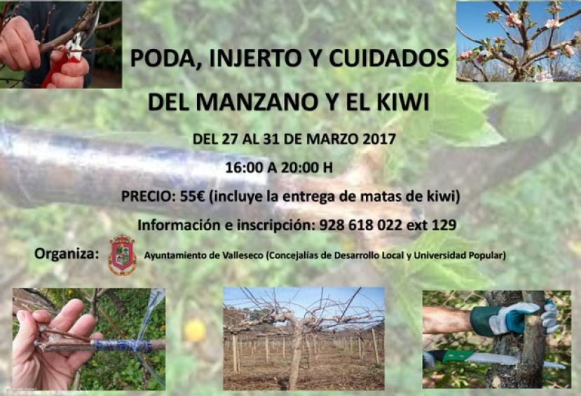 Valleseco programa un curso de poda, injerto y cuidados del manzano y kiwi