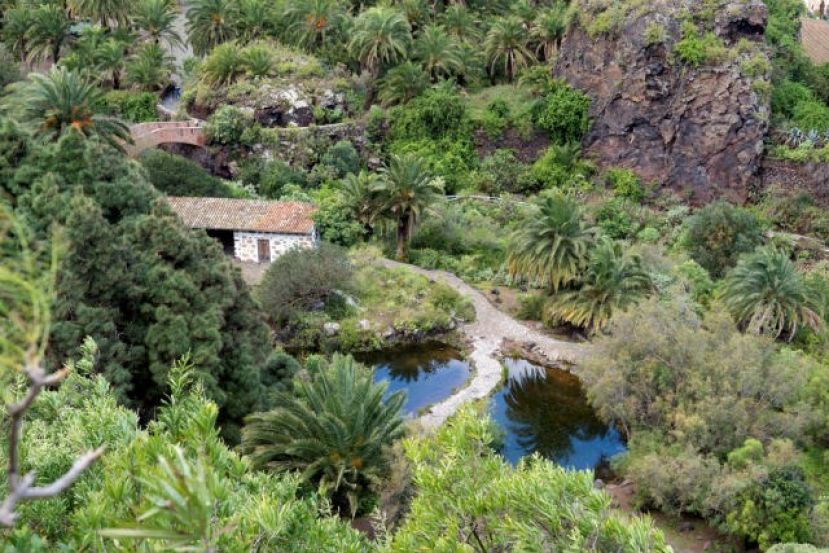 El Cabildo de Gran Canaria licita por 66.500 euros una aplicaci&oacute;n que enriquecer&aacute; la visita al Jard&iacute;n Canario con informaci&oacute;n audiovisual