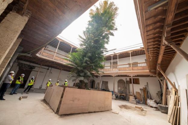 La &lsquo;cyca circinalis&rsquo; se recupera en el interior del MUBEA una vez controlada la plaga