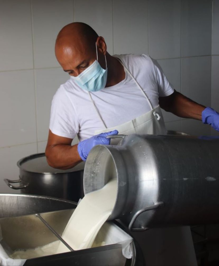 Ayudas especiales para mitigar los efectos de la pandemia en el sector ganadero