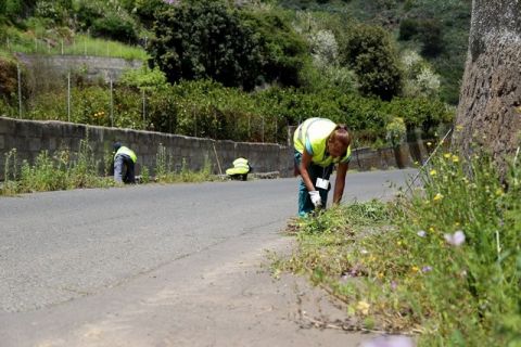 Valleseco: Plan de limpieza general barrio a barrio