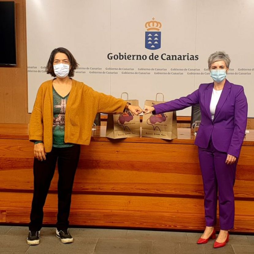 Fundaci&oacute;n DinoSol colabora con la Estrategia Canaria de Transici&oacute;n Igualitaria