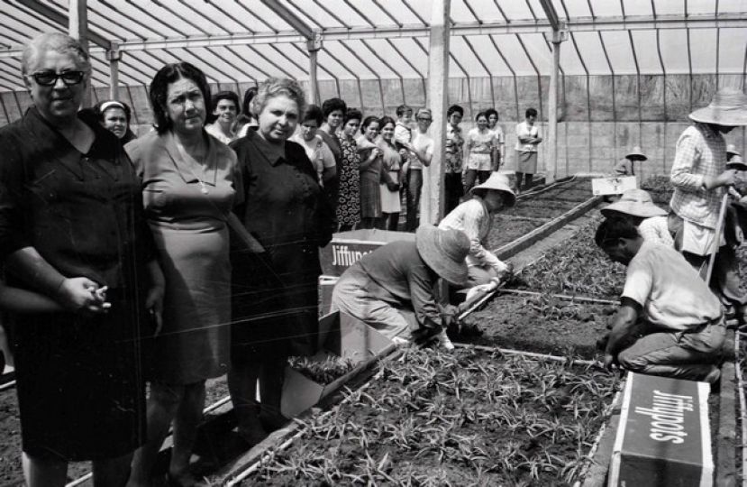 Jornada de puertas abiertas en la red de museos del Cabildo de Gran Canaria