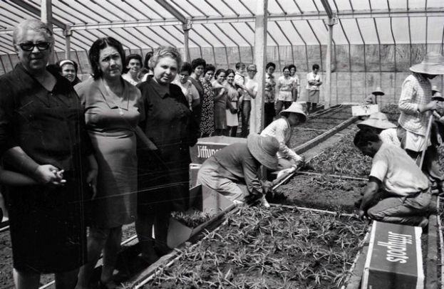 Jornada de puertas abiertas en la red de museos del Cabildo de Gran Canaria