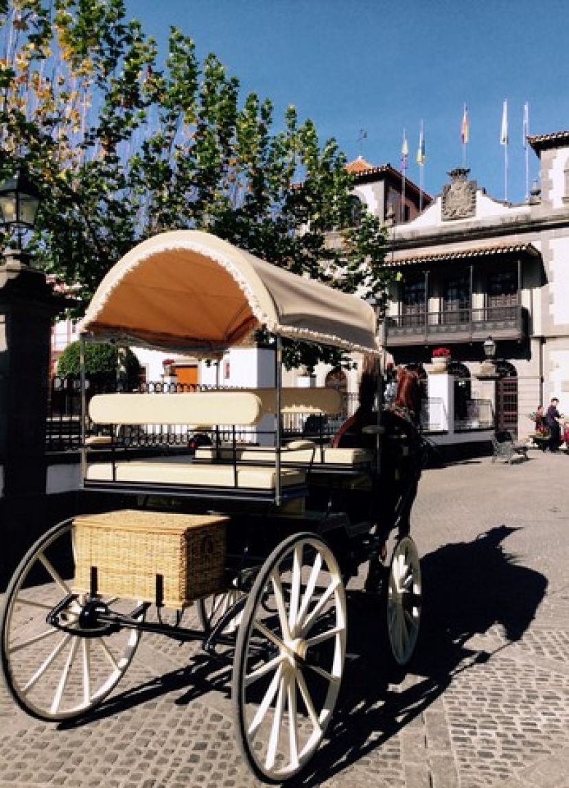 El Ayuntamiento ofrece otra forma de disfrutar de Teror en tartana