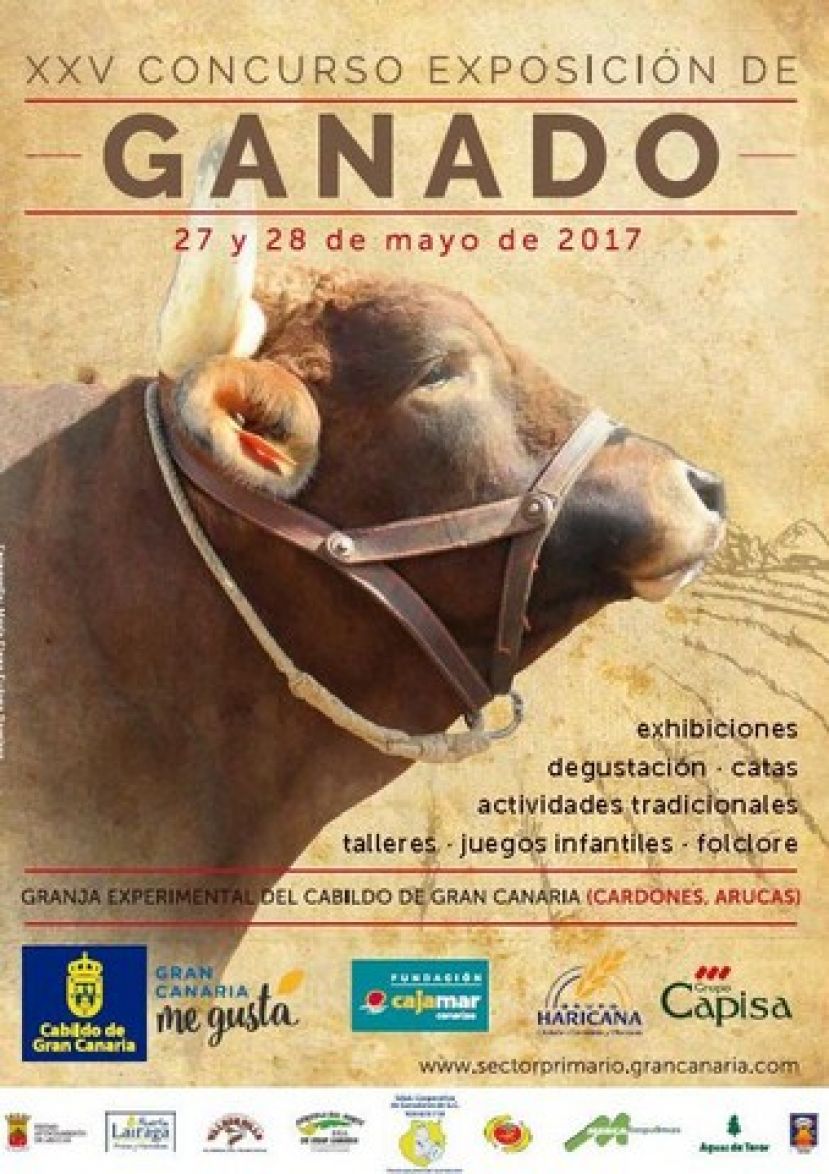 Un millar de vacas, toros, cabras, ovejas y cerdos competirán en la Feria de Ganado